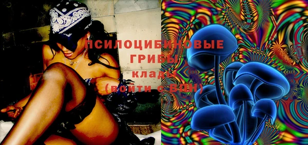 гидра Баксан