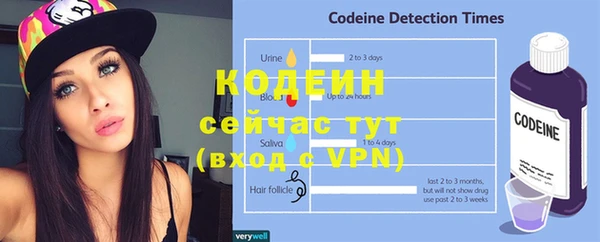 ГАЛЛЮЦИНОГЕННЫЕ ГРИБЫ Балахна