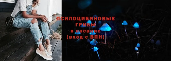 гидра Баксан