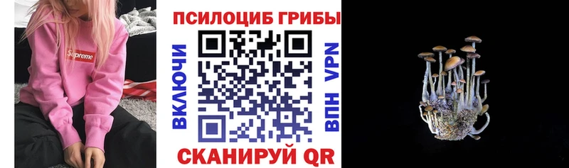 Галлюциногенные грибы ЛСД  как найти закладки  Каспийск 